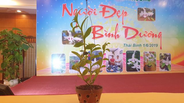 dai gia cu chi vinh cai bang so huu dan sieu xe tram ty la ai dspl 4 dai gia cu chi vinh cai bang so huu dan sieu xe tram ty la ai dspl 4