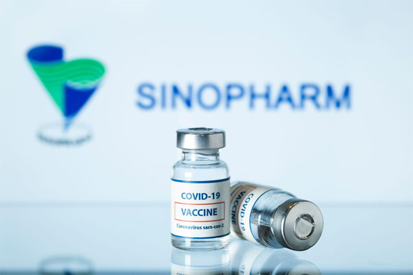 hai phong muon muon them vaccine vero cell cua tp hcm dspl