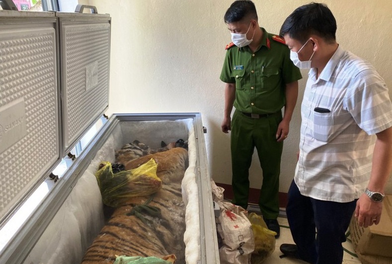 phat hien xac ho hon 160 kg trong tu dong o nha dan dspl phat hien xac ho hon 160 kg trong tu dong o nha dan dspl