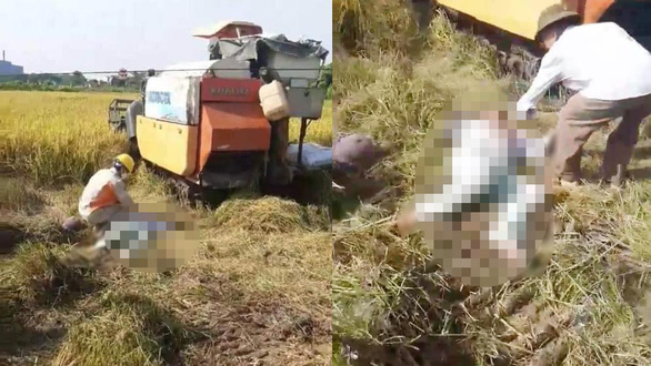 hai nguoi tu vong bat thuong giua canh dong tren co the co vet chay dspl