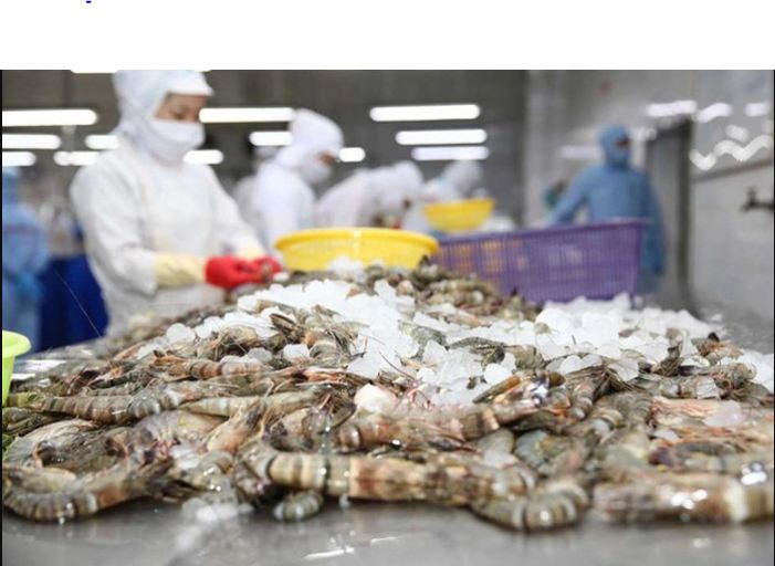 thuy san minh phu lai rong 2 trieu ngay dspl