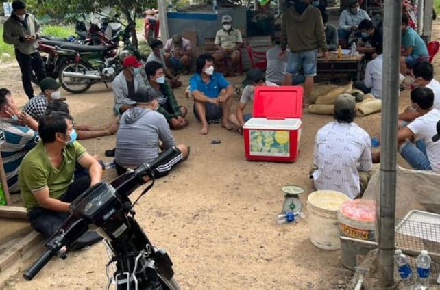 triet pha soi ga hang chuc nguoi thao chay thuc mang dspl