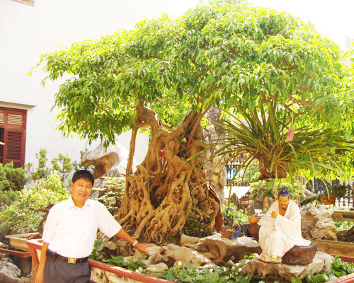 nhung sieu cay canh trieu usd gay choang ngop cua cac dai gia viet dspl 1 nhung sieu cay canh trieu usd gay choang ngop cua cac dai gia viet dspl 1