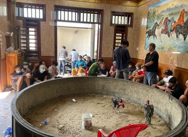 cap vo chong mo soi ga ngay giua phong khach lap camera canh gioi dspl