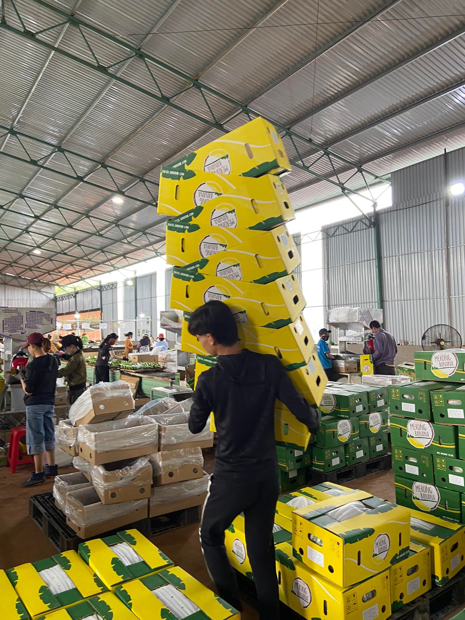 ben trong trang trai nghin ha trong chuoi cua tap doan hoang anh gia lai dspl 11 ben trong trang trai nghin ha trong chuoi cua tap doan hoang anh gia lai dspl 11