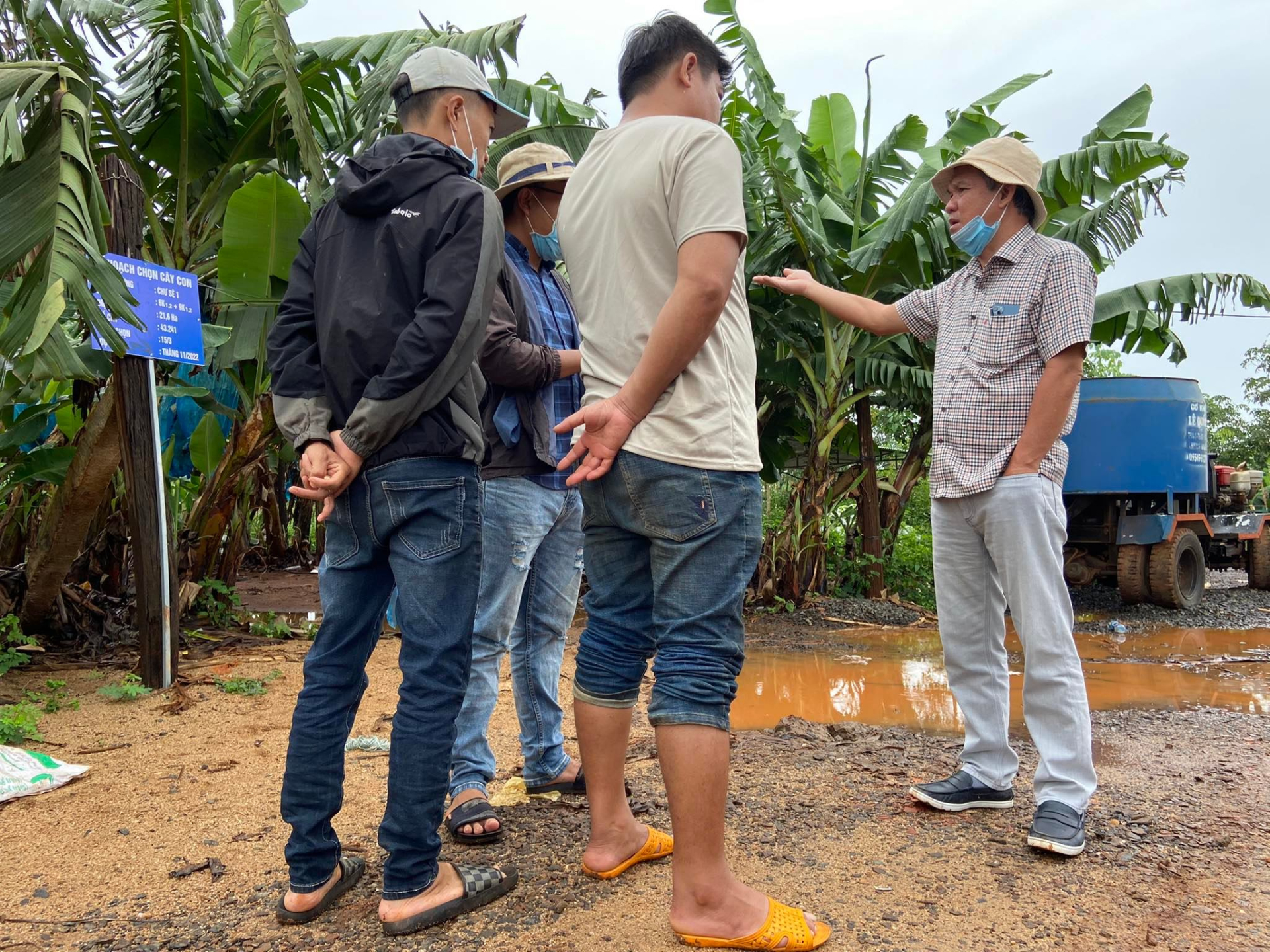 ben trong trang trai nghin ha trong chuoi cua tap doan hoang anh gia lai dspl 2 ben trong trang trai nghin ha trong chuoi cua tap doan hoang anh gia lai dspl 2