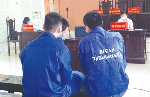 moi tu tu la mot cau chuyen bao chi dspl 2