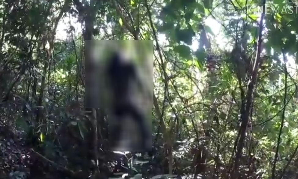 nghe an nguoi dan ong tu vong trong tu the treo co dspl