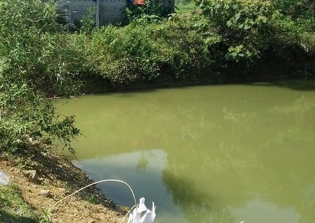 dak nong ru nhau di bat oc 2 tre nho duoi nuoc tu vong thuong tam dspl