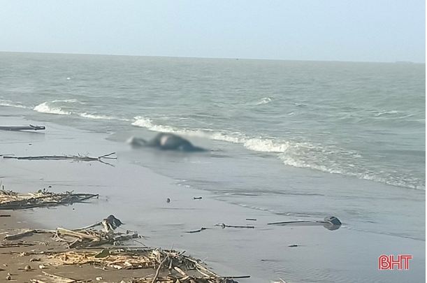 vu thi the nam gioi troi dat vao bo bien nghi xuan nan nhan truoc do di kham benh dspl 2