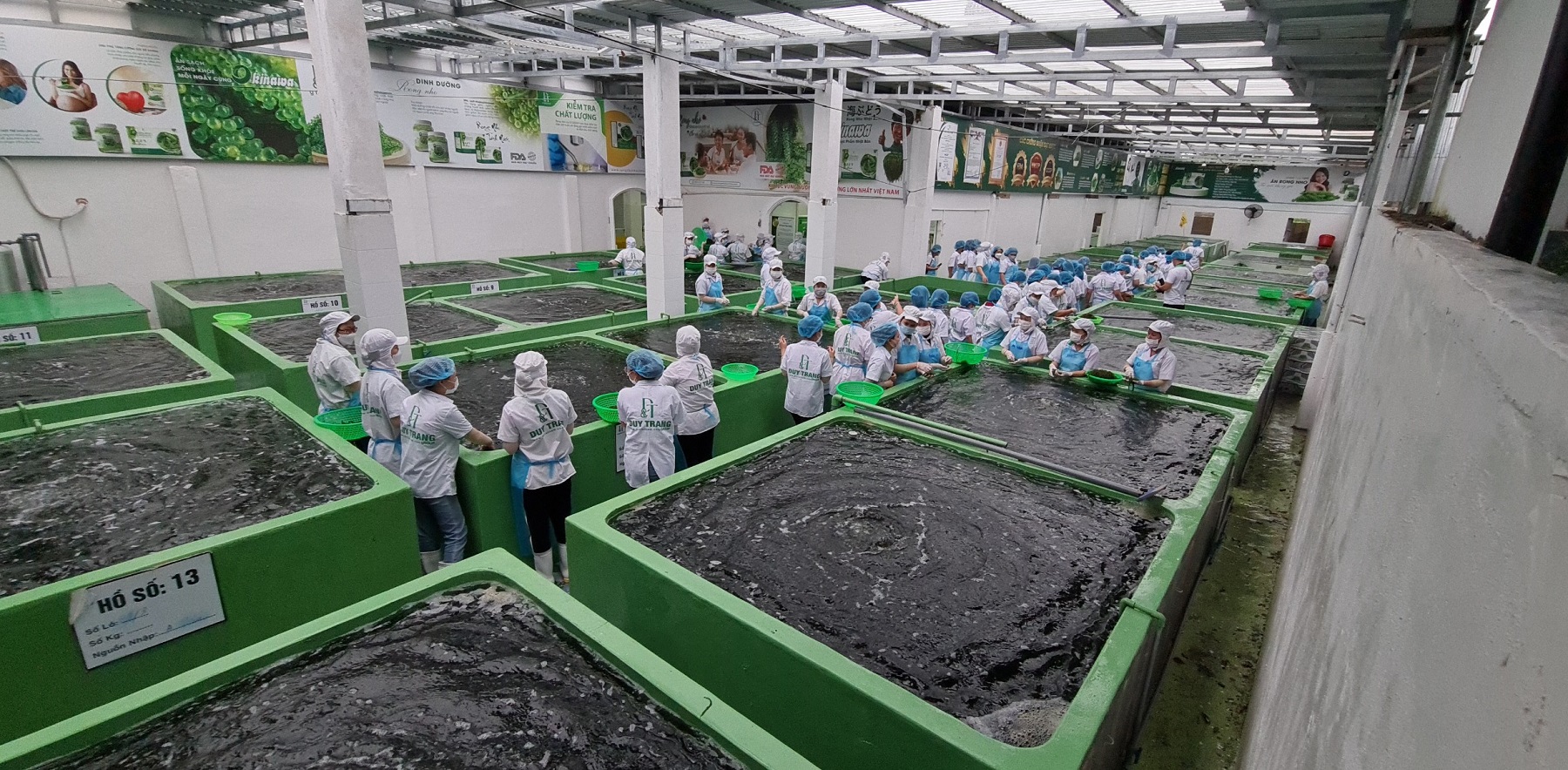 81759a94b5c2729c2bd3 81759a94b5c2729c2bd3