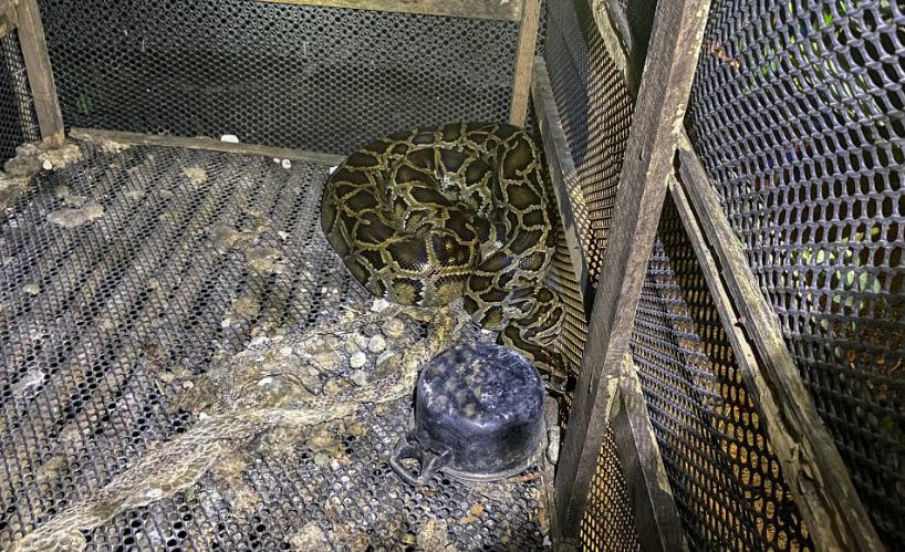 binh phuoc nguoi dan ong bi tran nuoi siet co tu vong dspl