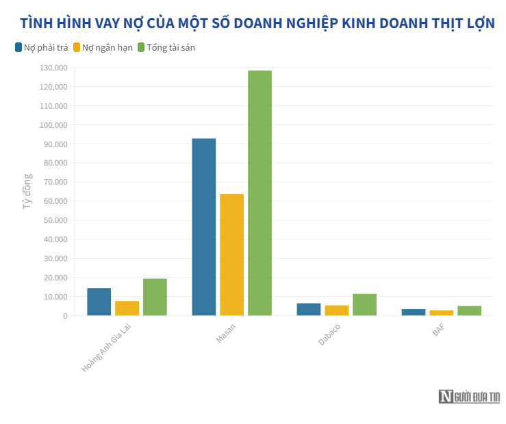 khoan vay no 8 000 ty dong cua hoang anh gia lai co gi dspl 2