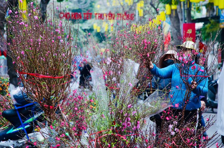 du bao thoi tiet tu ngay mung 1 den mung 5 tet quy mao 2023 dspl