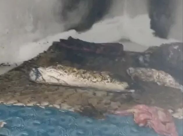 phu yen con gai tu vong cha bong nang trong can phong nong nac mui xang dspl