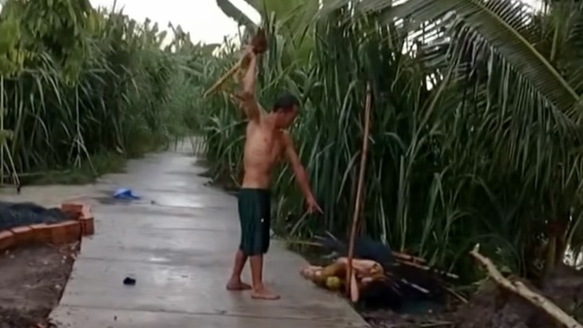 vinh long xac minh clip nghi van chong danh vo da man giua duong vinh long xac minh clip nghi van chong danh vo da man giua duong