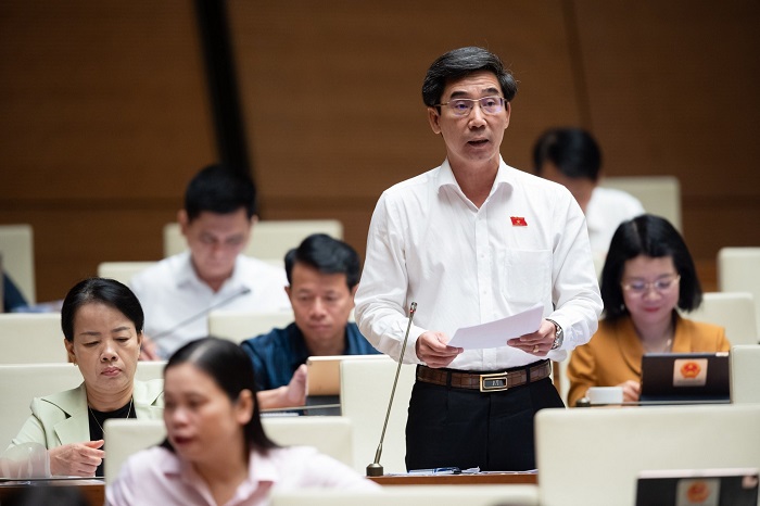 dai bieu lo ngai nguoi nuoc ngoai nup bong thau tom dat dai o viet nam1 dai bieu lo ngai nguoi nuoc ngoai nup bong thau tom dat dai o viet nam1