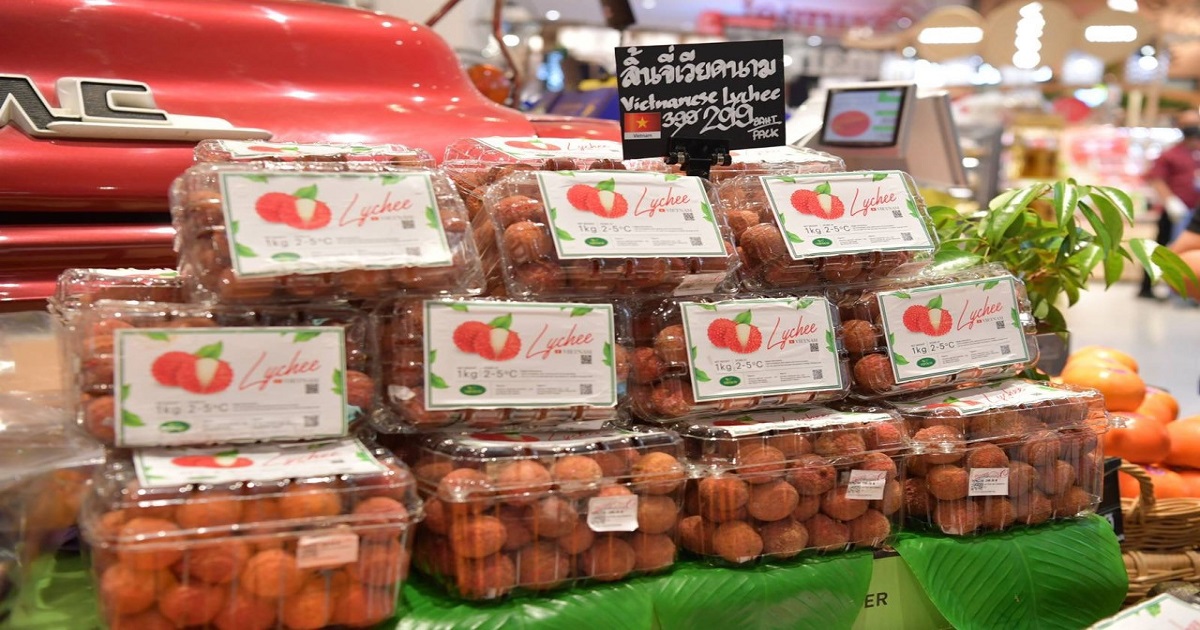 vai thieu bac giang do bo thai lan gia 200 000 dong kg vai thieu bac giang do bo thai lan gia 200 000 dong kg