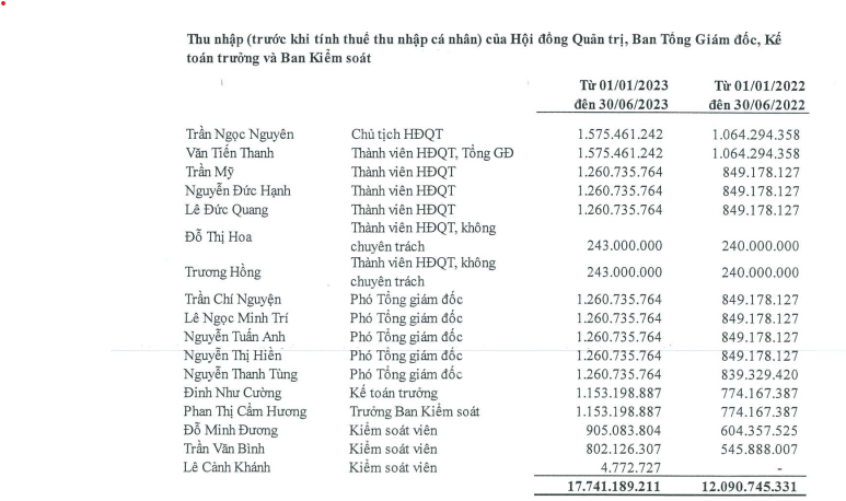 dam ca mau loi nhuan quy ii sut giam 71 5 dan lanh dao thu nhap tien ty