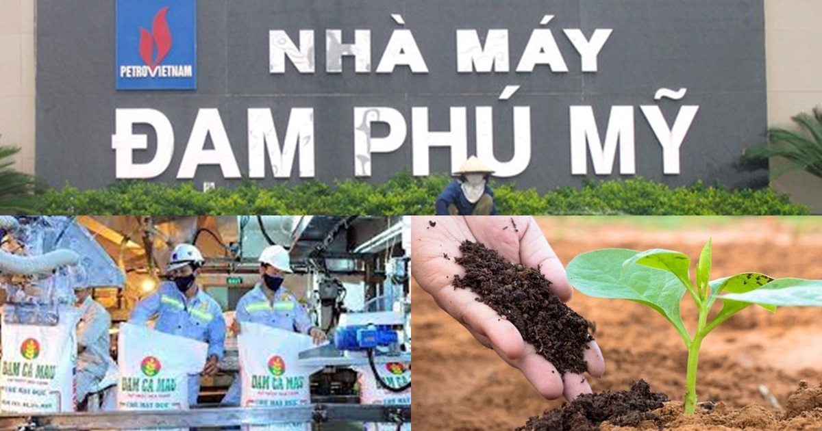 co phieu nganh phan bon tang kich tran truoc thong tin trung quoc dung xuat khau ure co phieu nganh phan bon tang kich tran truoc thong tin trung quoc dung xuat khau ure