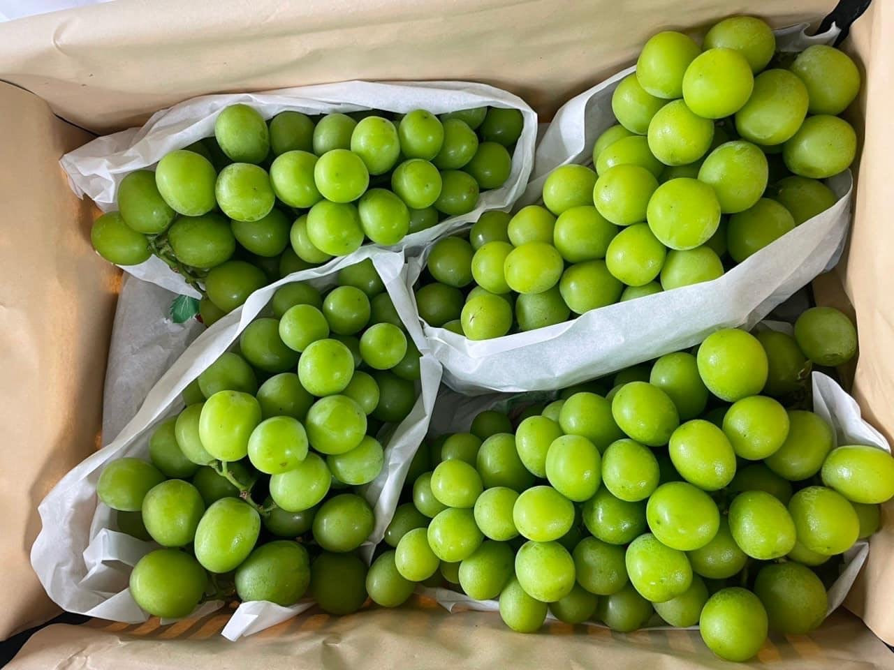 vi sao thi truong tran ngap trai cay ngoai gia re bat ngo 5 vi sao thi truong tran ngap trai cay ngoai gia re bat ngo 5