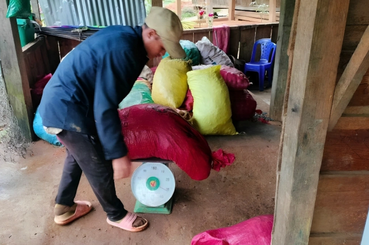 thu nhap tien trieu moi ngay nho di bo xuyen rung hai ngu vi tu 2 thu nhap tien trieu moi ngay nho di bo xuyen rung hai ngu vi tu 2