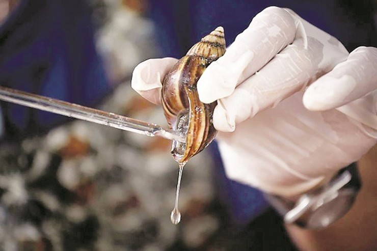 loai vat khong phai an cung dam an o viet nam lai la dac san dat do o troi tay 10