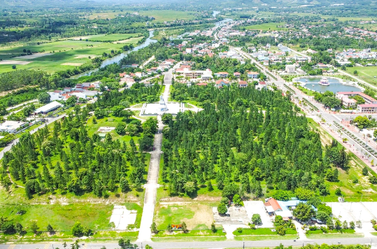 binh dinh thu hoi 138ha dat rung cap sai cho nguyen bi thu huyen uy 2 binh dinh thu hoi 138ha dat rung cap sai cho nguyen bi thu huyen uy 2