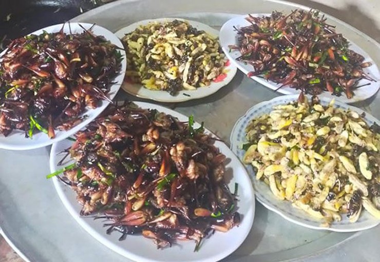 la lung loai tom bo tren cay la dac san xu lang gia nua trieu dong kg 10 la lung loai tom bo tren cay la dac san xu lang gia nua trieu dong kg 10
