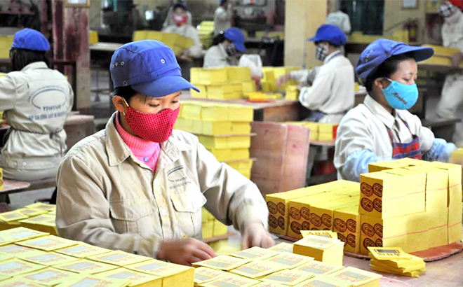 co dong cong ty vang ma duy nhat tren san chung khoan sap nhan co tuc ty le 100 1 co dong cong ty vang ma duy nhat tren san chung khoan sap nhan co tuc ty le 100 1