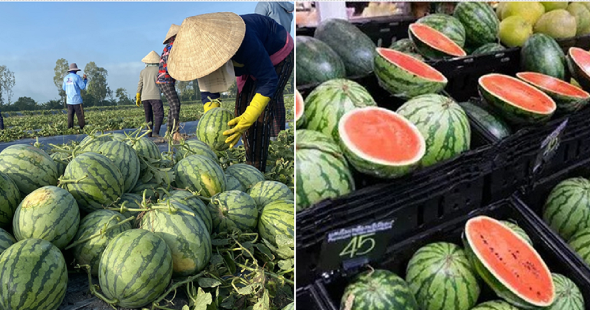 them loai qua trieu usd cua viet nam duoc xuat chinh ngach sang trung quoc them loai qua trieu usd cua viet nam duoc xuat chinh ngach sang trung quoc