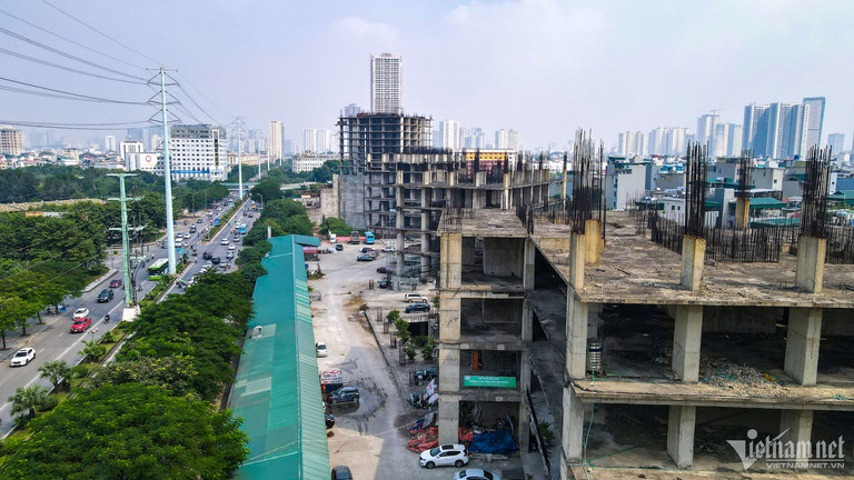 giam doc cong ty co phan song da thang long bi tam hoan xuat nhap canh 2