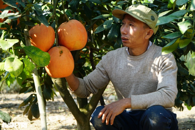 buoi do tien vua nuc tieng xu thanh hut khach dip can tet nguyen dan 1 buoi do tien vua nuc tieng xu thanh hut khach dip can tet nguyen dan 1