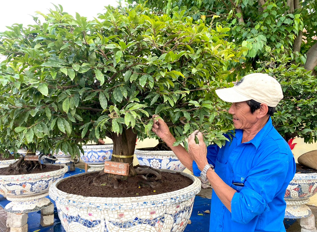 mai vang buoi dien nhon nhip ra bac vao nam phuc vu khach choi tet nguyen dan 2024 2 mai vang buoi dien nhon nhip ra bac vao nam phuc vu khach choi tet nguyen dan 2024 2
