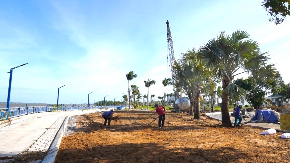 can canh diem hoa tet duoc mo mien phi mat bang cho nguoi dan buon ban o can tho 3 can canh diem hoa tet duoc mo mien phi mat bang cho nguoi dan buon ban o can tho 3