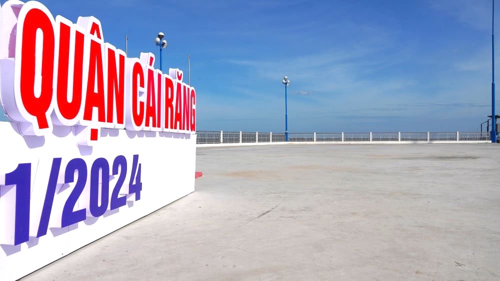 can canh diem hoa tet duoc mo mien phi mat bang cho nguoi dan buon ban o can tho 4 can canh diem hoa tet duoc mo mien phi mat bang cho nguoi dan buon ban o can tho 4