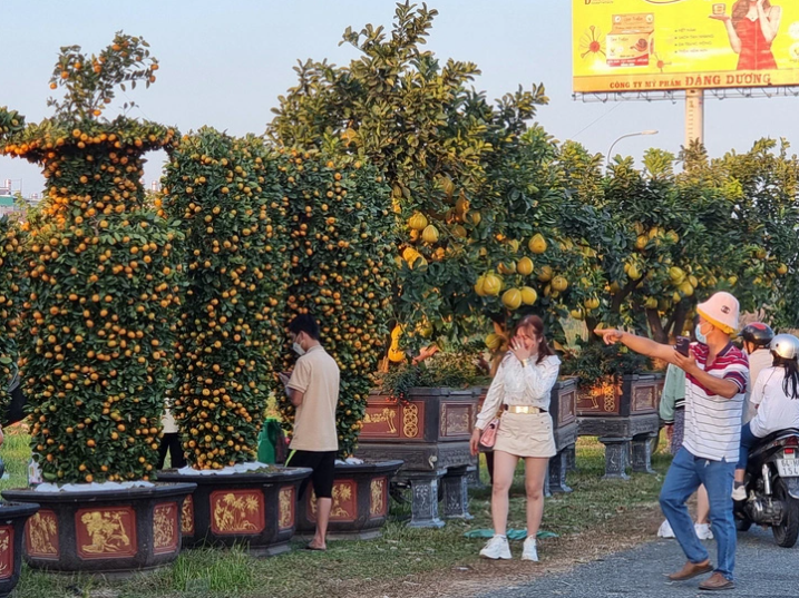 can canh diem hoa tet duoc mo mien phi mat bang cho nguoi dan buon ban o can tho 7 can canh diem hoa tet duoc mo mien phi mat bang cho nguoi dan buon ban o can tho 7