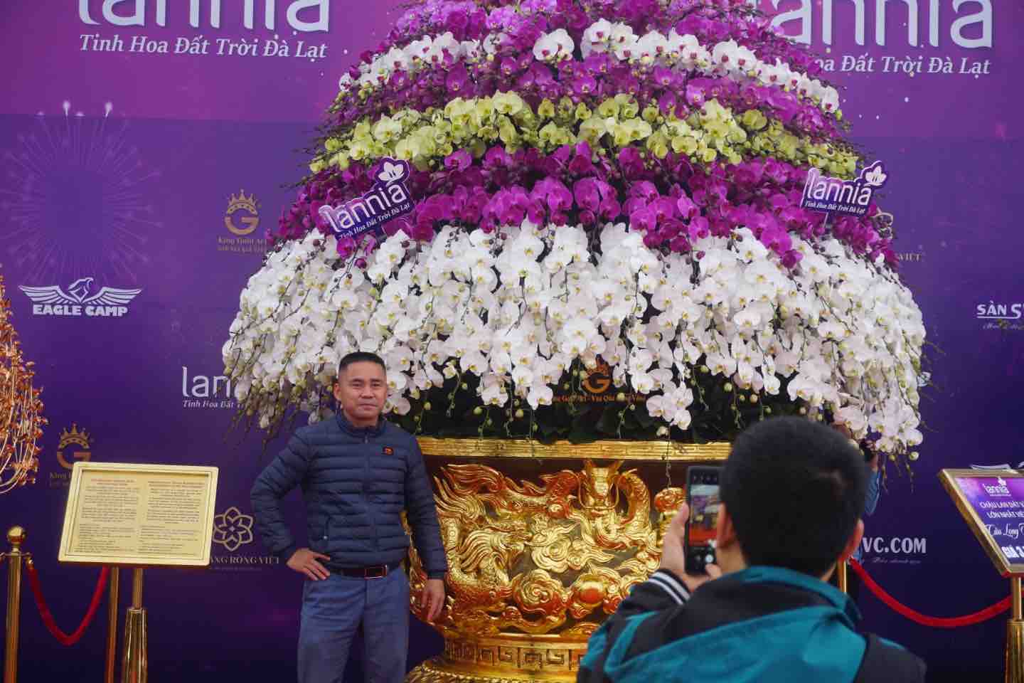 chiem nguong chau lan ho diep ma vang 24k gia gan 4 ty dong o ha noi 4 chiem nguong chau lan ho diep ma vang 24k gia gan 4 ty dong o ha noi 4