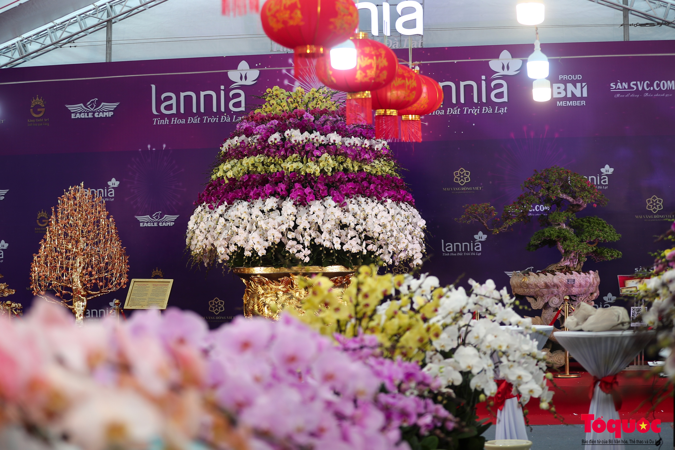 chiem nguong chau lan ho diep ma vang 24k gia gan 4 ty dong o ha noi 5 chiem nguong chau lan ho diep ma vang 24k gia gan 4 ty dong o ha noi 5