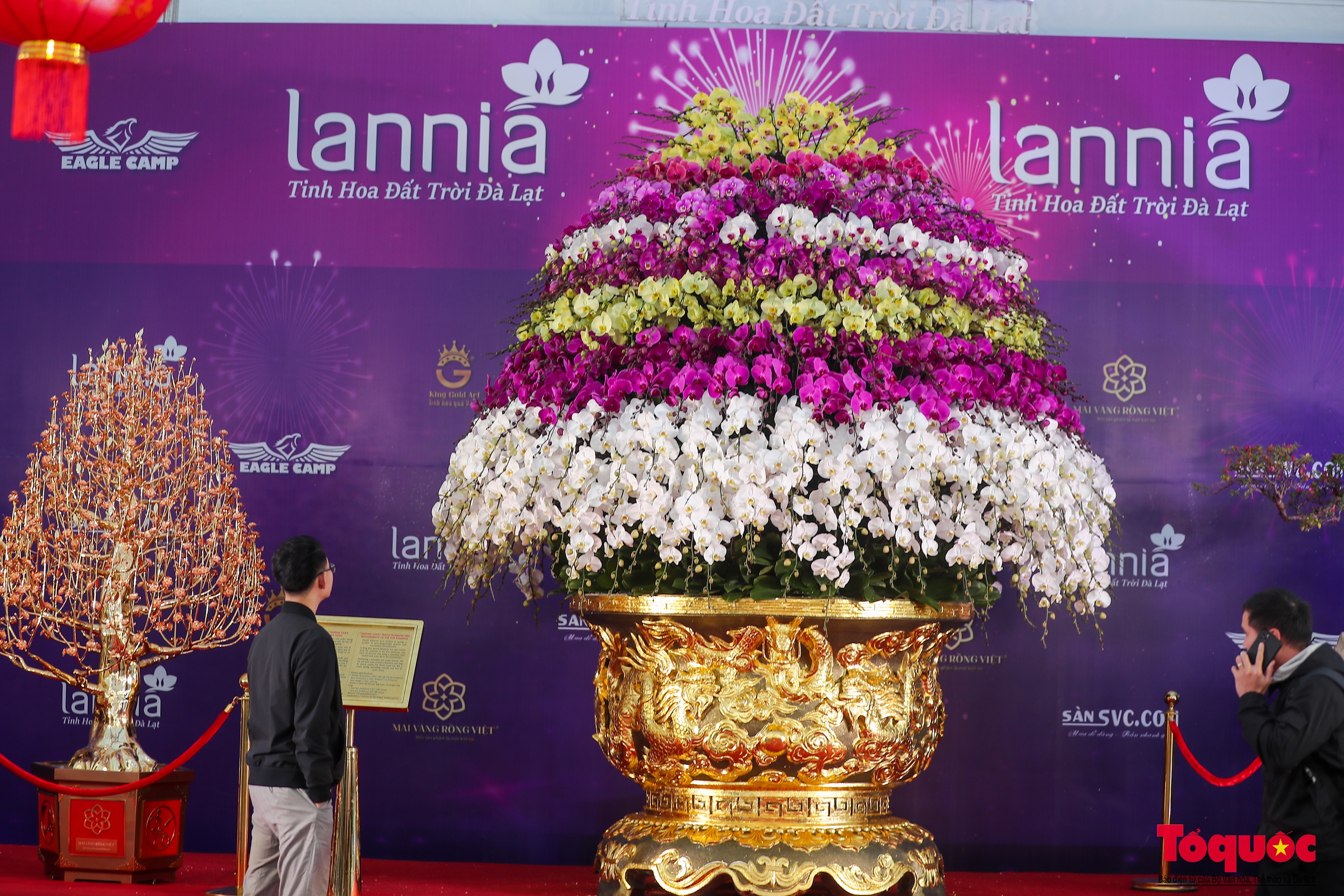 chiem nguong chau lan ho diep ma vang 24k gia gan 4 ty dong o ha noi 9 chiem nguong chau lan ho diep ma vang 24k gia gan 4 ty dong o ha noi 9