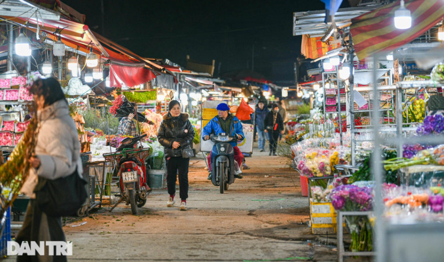 cho hoa lon nhat ha noi hop xuyen dem trong cai lanh cat da cat thit 6