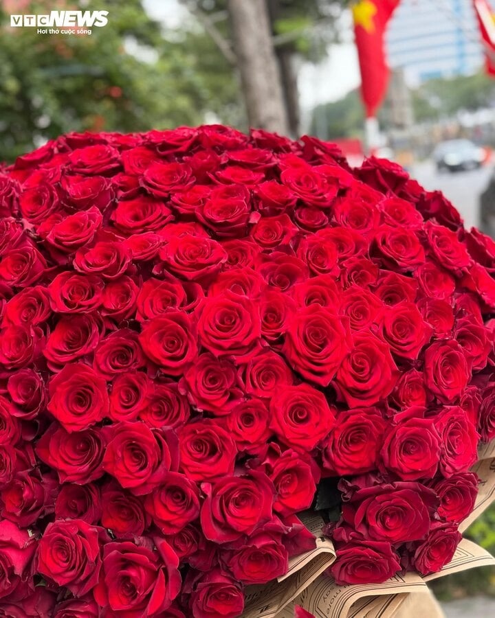 can canh bo hoa 26 trieu dong dai gia ha noi mua tang vo ngay 8 3 1 can canh bo hoa 26 trieu dong dai gia ha noi mua tang vo ngay 8 3 1
