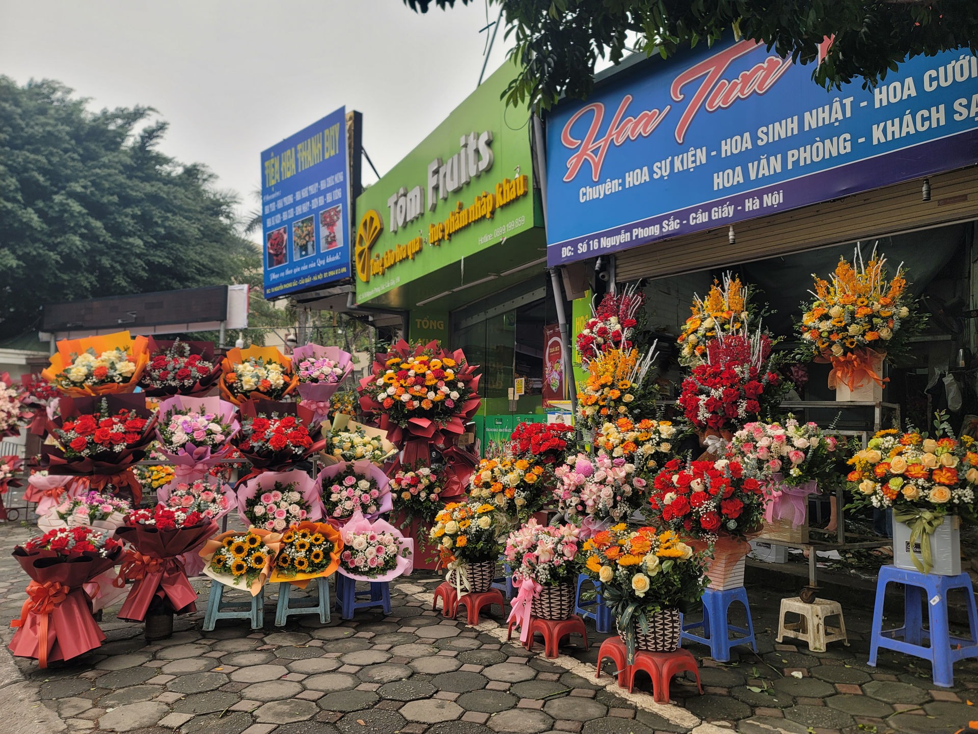 can canh bo hoa 26 trieu dong dai gia ha noi mua tang vo ngay 8 3 4 can canh bo hoa 26 trieu dong dai gia ha noi mua tang vo ngay 8 3 4