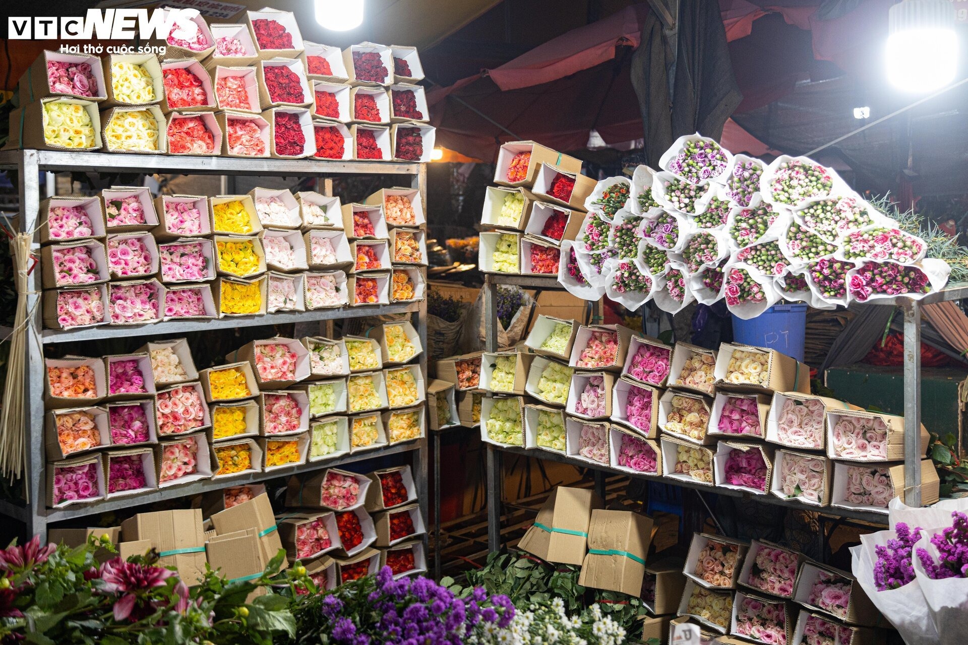 canh nhon nhip tai cho hoa lon nhat ha noi truoc ngay 8 3 8