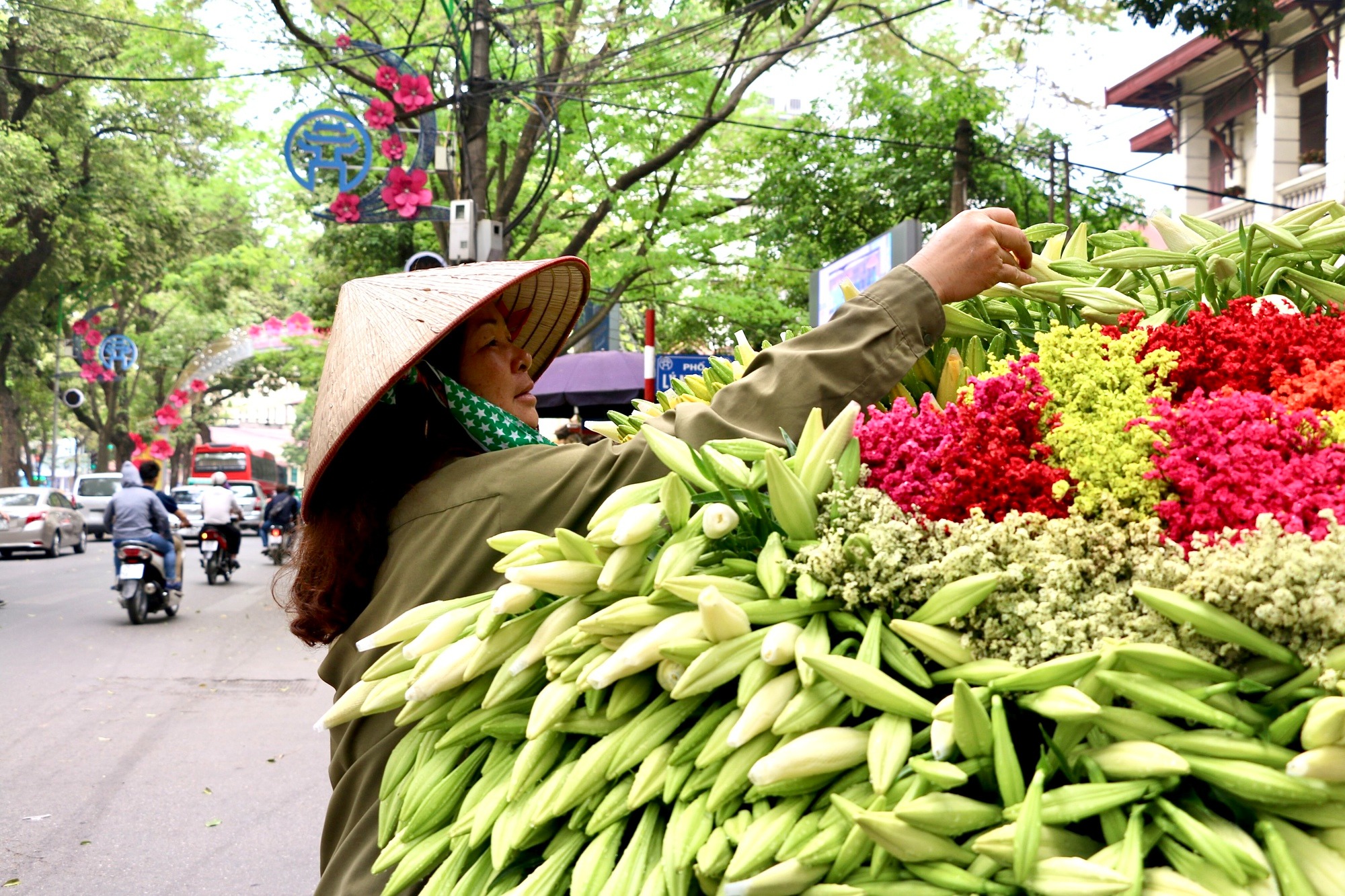 hoa loa ken dau mua xuong pho ha noi duoc khach hang san don 1 hoa loa ken dau mua xuong pho ha noi duoc khach hang san don 1