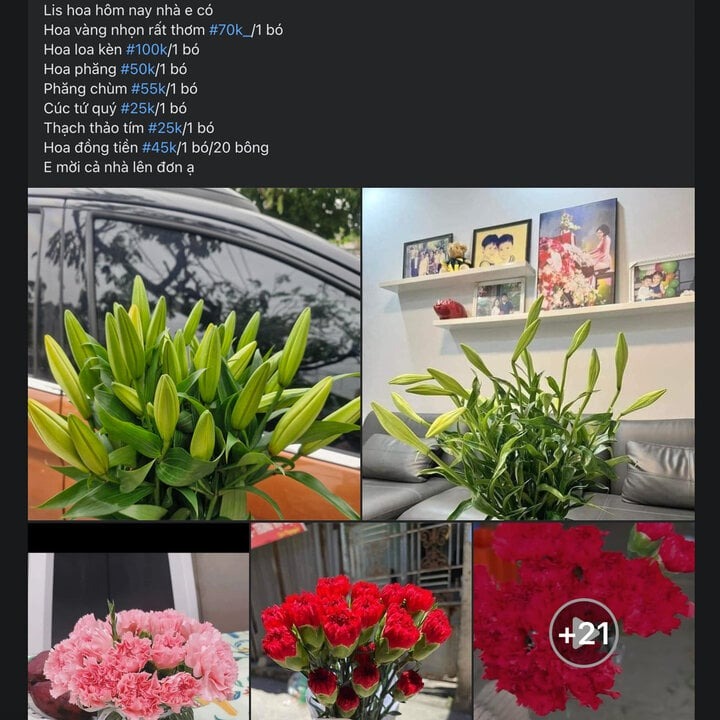 hoa loa ken dau mua xuong pho ha noi duoc khach hang san don 3 hoa loa ken dau mua xuong pho ha noi duoc khach hang san don 3