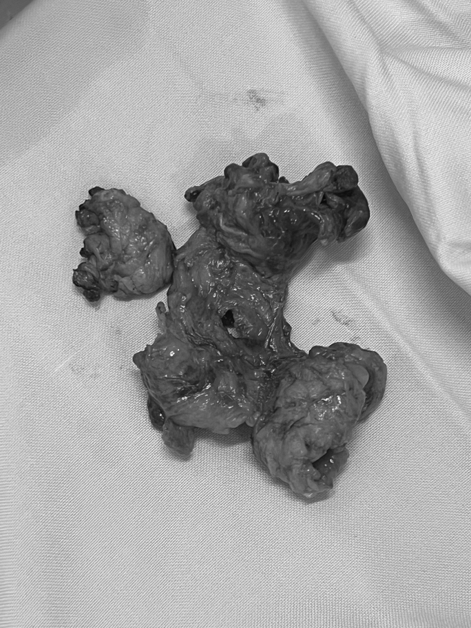 b072b6d1476b9735ce7a 2 16896620777881303572619 b072b6d1476b9735ce7a 2 16896620777881303572619