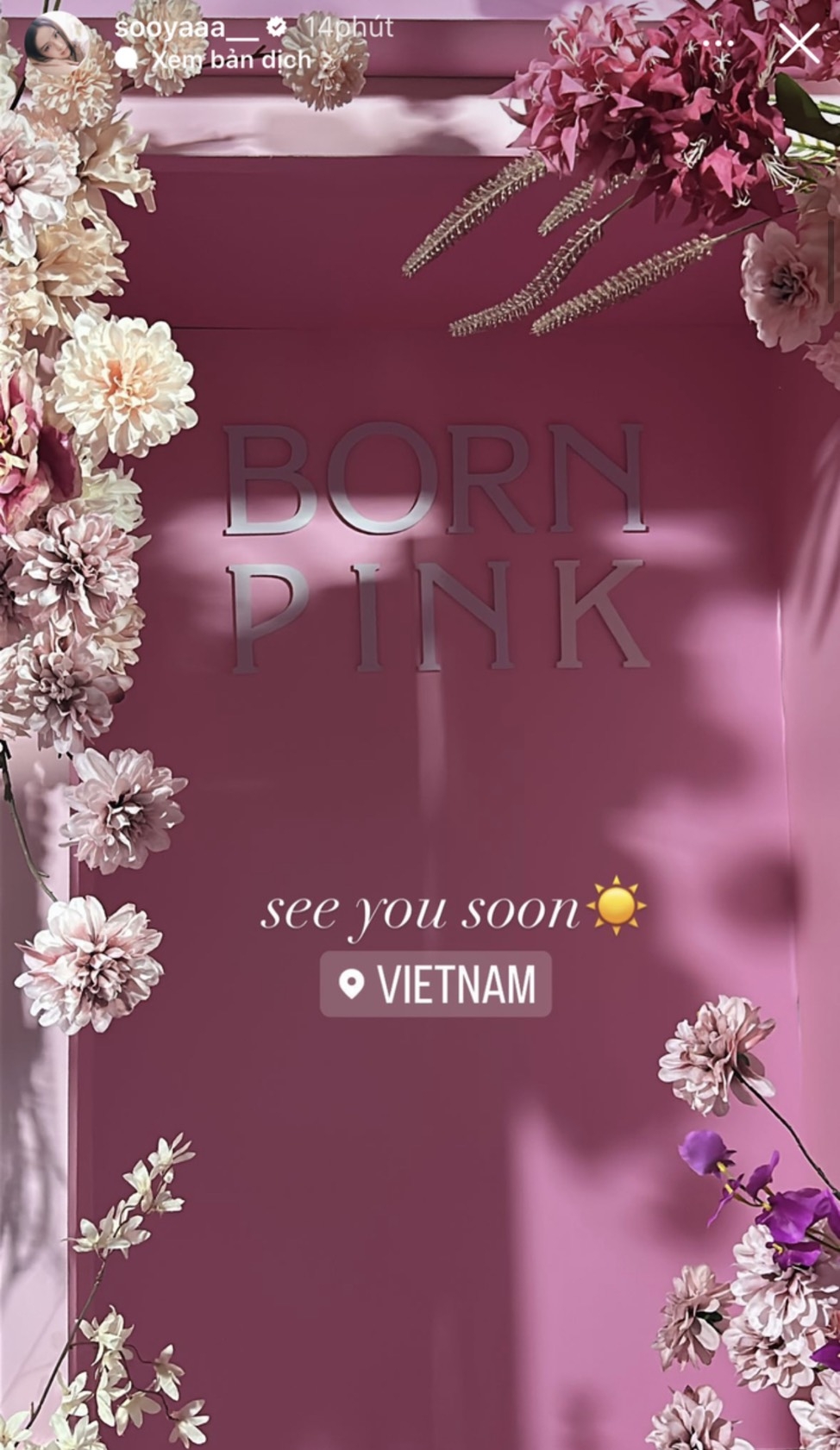 rose cung jisoo check in tai ha noi dang hinh goi cam va thich thu voi hoa fan tang dspl 3 rose cung jisoo check in tai ha noi dang hinh goi cam va thich thu voi hoa fan tang dspl 3