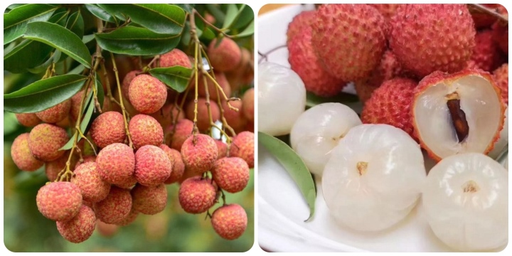 3 loai qua la khac tinh cua ung thu duoc the gioi ca ngoi qua quen voi nguoi viet dspl 4 3 loai qua la khac tinh cua ung thu duoc the gioi ca ngoi qua quen voi nguoi viet dspl 4