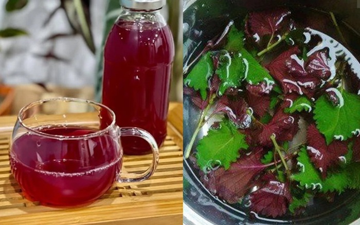 uong la tia to hang ngay co tot khong dspl3 uong la tia to hang ngay co tot khong dspl3